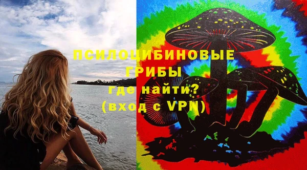 хмурый Дмитровск