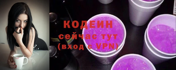 хмурый Дмитровск