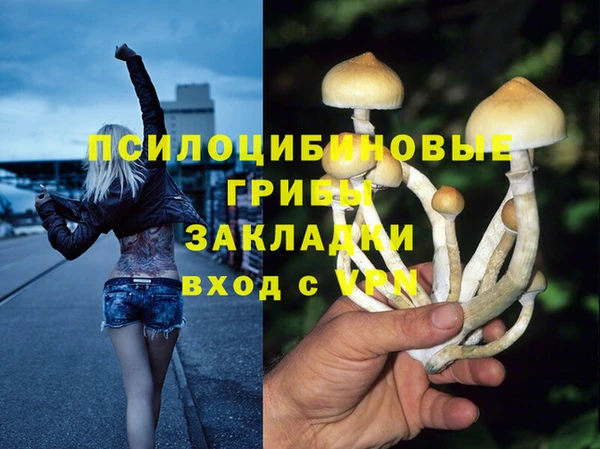 кокаин перу Дмитриев