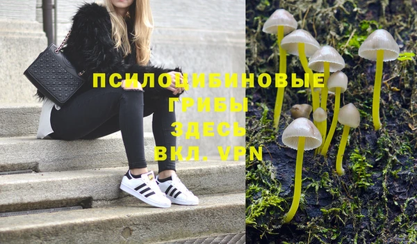 хмурый Дмитровск