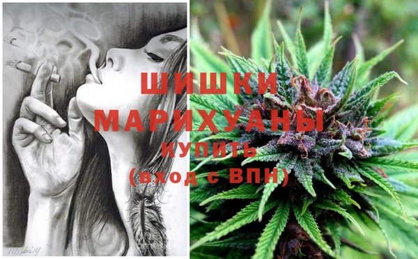 винт Дмитров