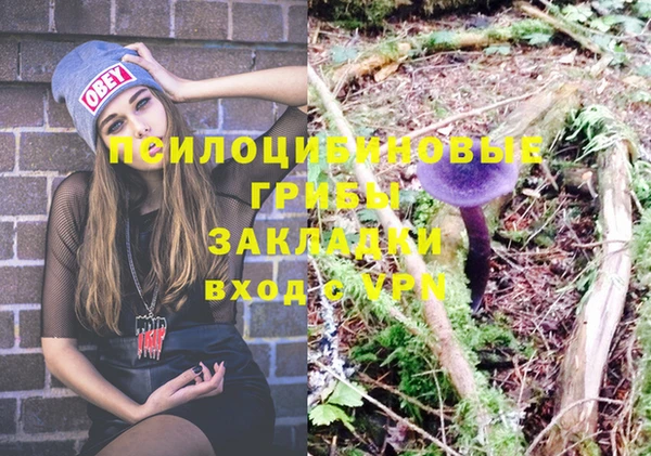 хмурый Дмитровск