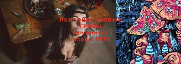 винт Дмитров