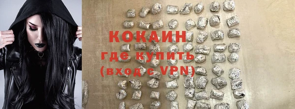 хмурый Гусь-Хрустальный