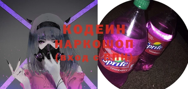 хмурый Дмитровск