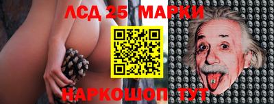 индика Абинск