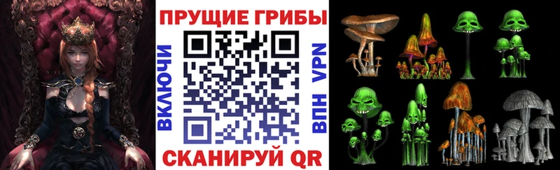 Псилоцибиновые грибы Cubensis  Барнаул 