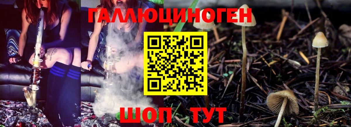 Галлюциногенные грибы GOLDEN TEACHER Россия