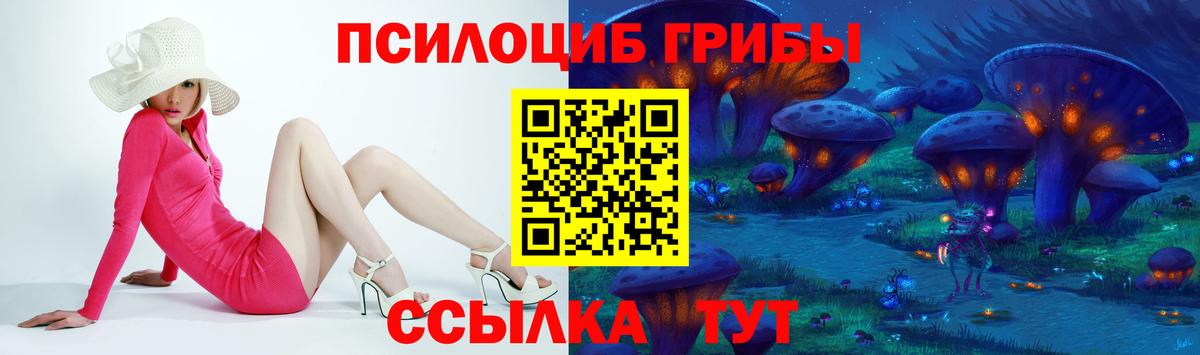 Россия  Псилоцибиновые грибы Magic Shrooms  Вход с VPN 