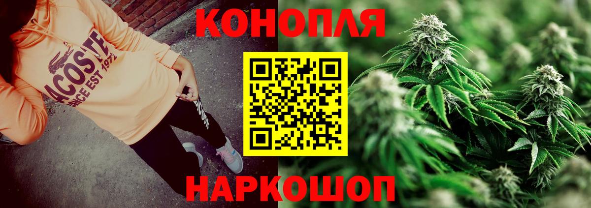 Бошки марихуана SATIVA & INDICA Россия